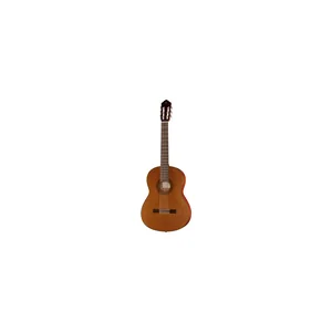 Yamaha CGX 122 MC