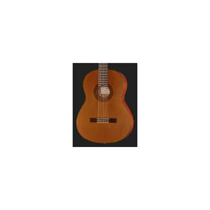 Yamaha CGX 122 MC