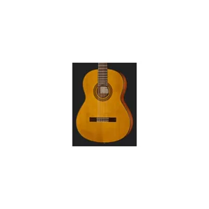 Yamaha CGX 122 MS