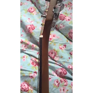 Yamaha F310P TBS Set