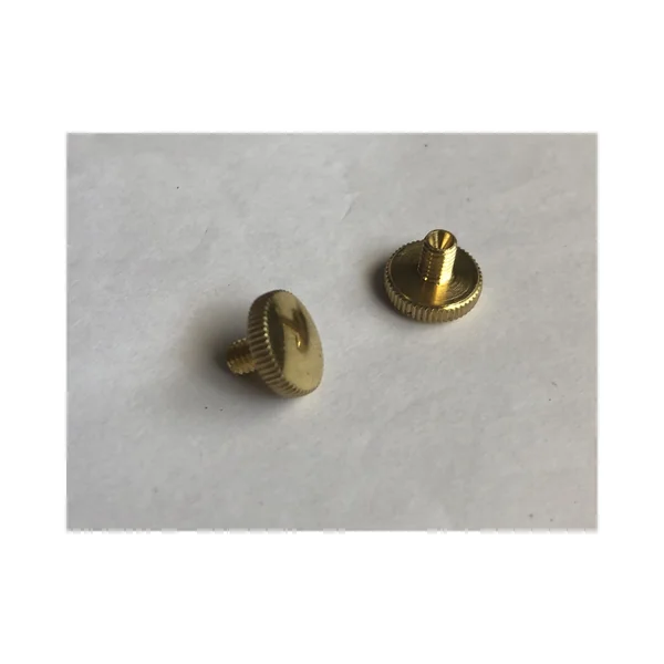Yamaha Lyre Holder Screw L