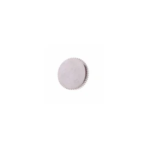 Yamaha Lyre Holder Screw NP