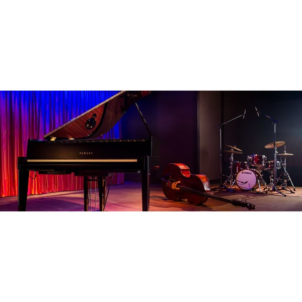Yamaha N-3X Avant Grand