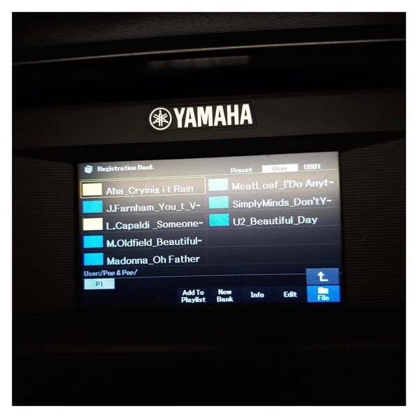 Yamaha PSR-SX600 Set