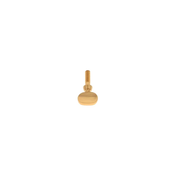 Yamaha S- Neck Screw