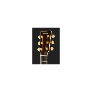 Yamaha Transacoustic LL-TA BS