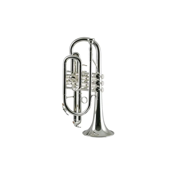 Yamaha YCR-4330 GSII Cornet