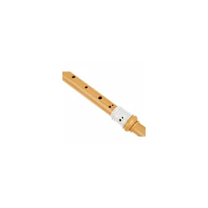 Yamaha YRA-48B Alto Recorder Eco