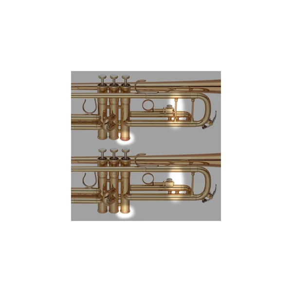 Yamaha YTR-8335EA Trumpet
