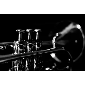 Yamaha YTR-8335S 04 Trumpet