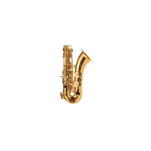 Yamaha YTS-480 Tenor Sax Set