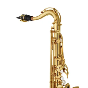 Yamaha YTS-480 Tenor Sax Set